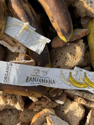 Skladowisko chleba bytom Skladowisko chleba bytom