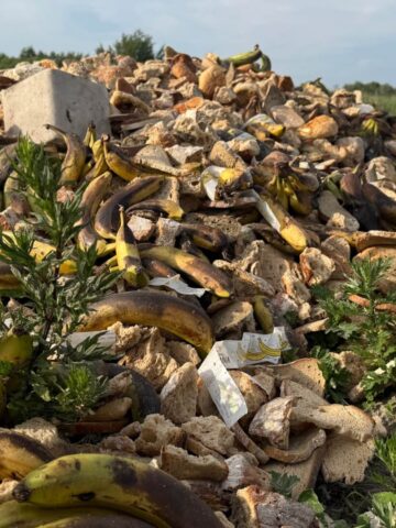 Nielegalne składowisko na Żabich Dołach Nielegalne składowisko na Żabich Dołach