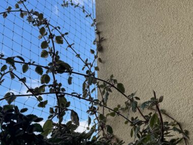 Kto ma najpiękniejsze kwiaty w mieście? Trwa konkurs na najpiękniejszy balkon