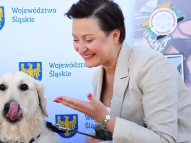 Sejmik Śląski po wyborach. Już wiadomo, kto ma mandat Katarzyna Stachowicz