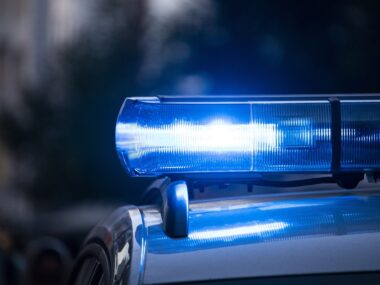 Poleciała z łapami na strażników. Wylądowała w celi Policja zabrze zdarzenie drogowe