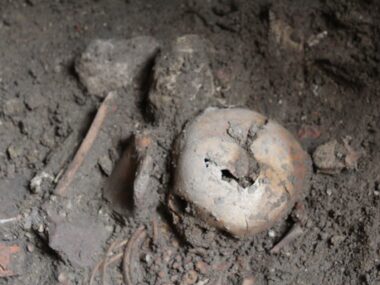 W bytomskim kościele odkryto cztery szkielety dzieci W kościele pw. św. Wojciecha archeolodzy odkryli groby dziecięce ze średniowiecza