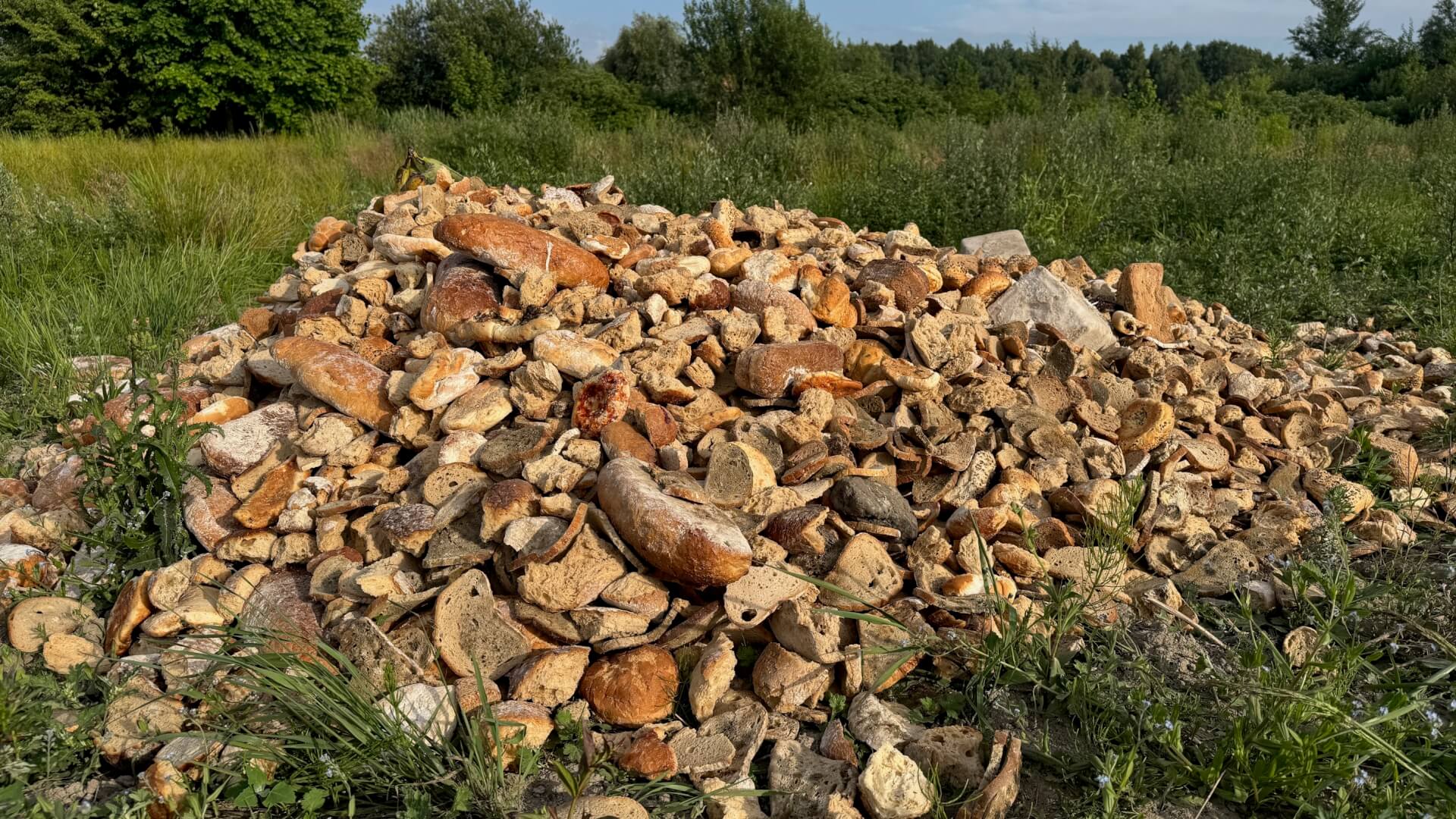 Nielegalne składowisko na Żabich Dołach