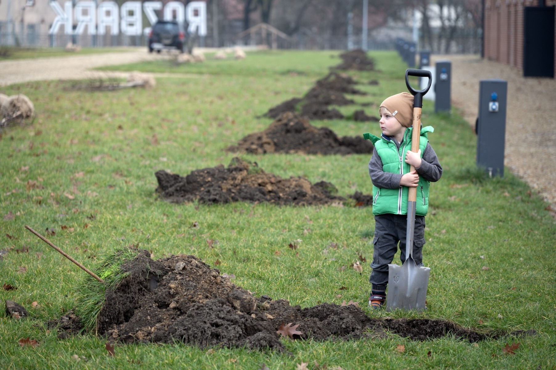 100 nowych drzew w Rozbarku. Lipy i klony posadzono z okazji 100-lecia bytomskiego hufca ZHP
