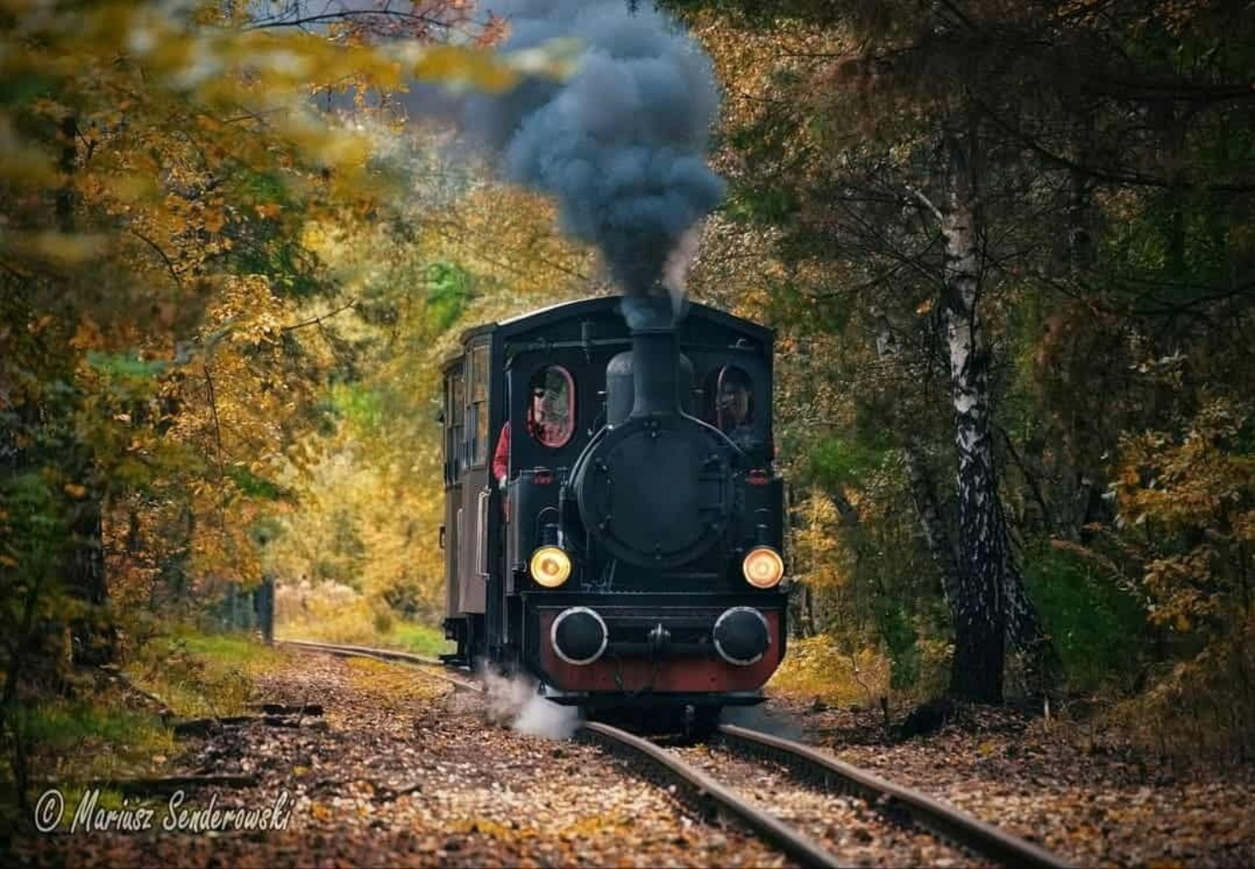 fot. Mariusz Senderowski/GKW