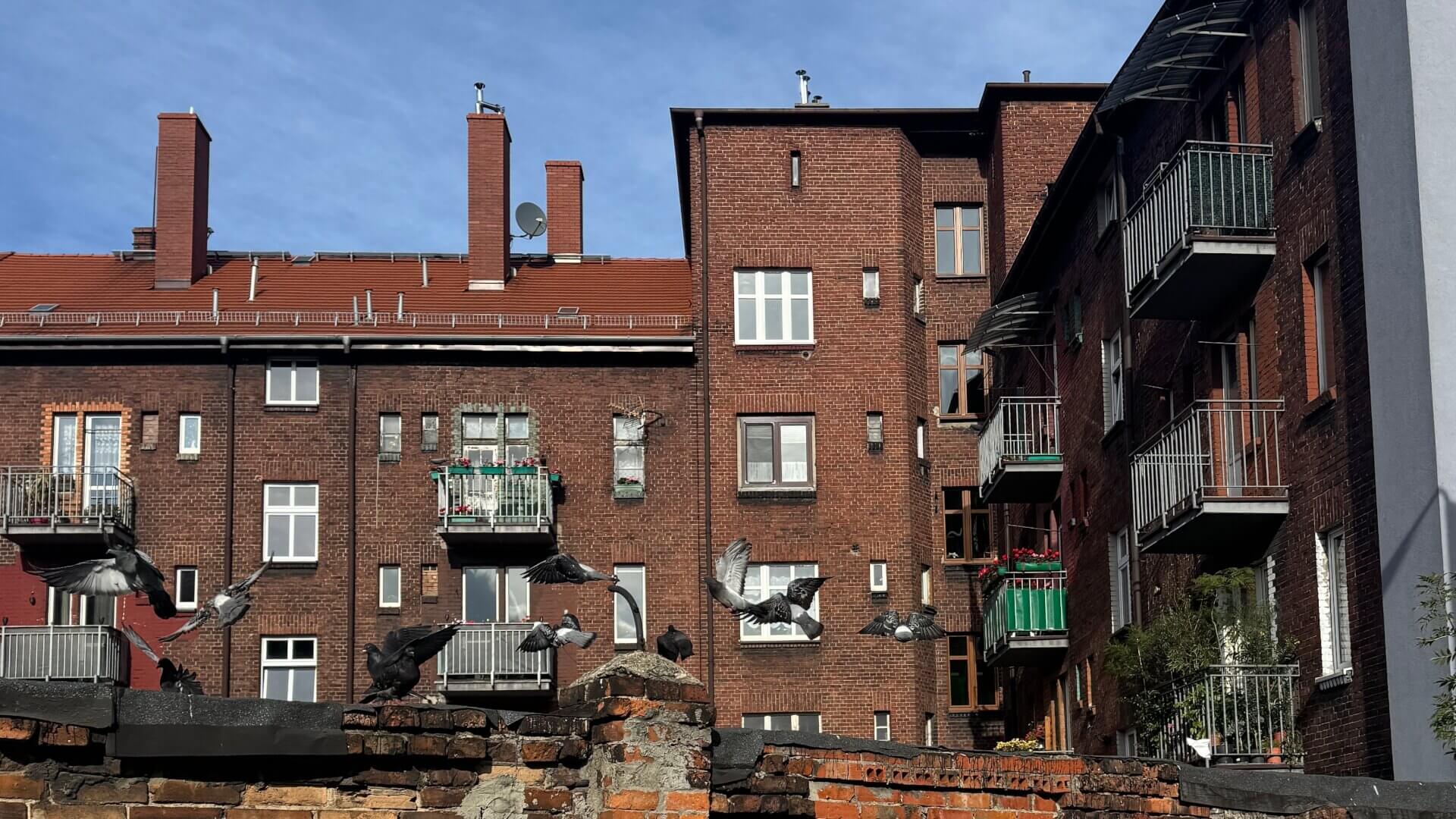 Bytom otrzyma rządowe środki na remonty kamienic. To ponad 167 mln zł