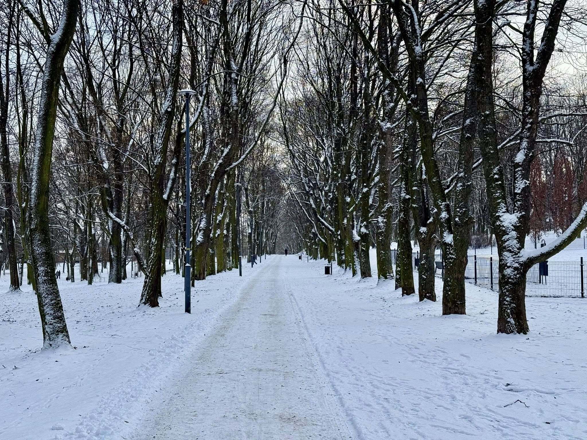 W bytomskim parku odbędzie się rodzinny bieg na orientację. realizowane są zapisy na wydarzenie