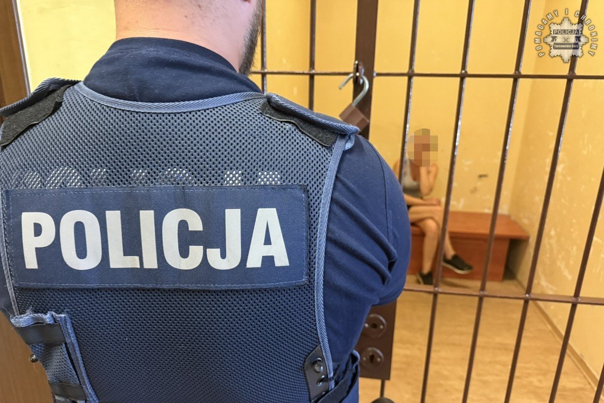 Zatrzymanie obywatelskie. Bytomianka miała 3,5 promila. Jechała samochodem z dzieckiem i psem