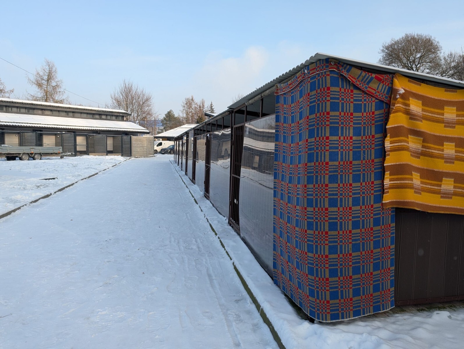 Cichy protest po serii głośnych doniesień dotyczących schroniska dla zwierząt w Bytomiu