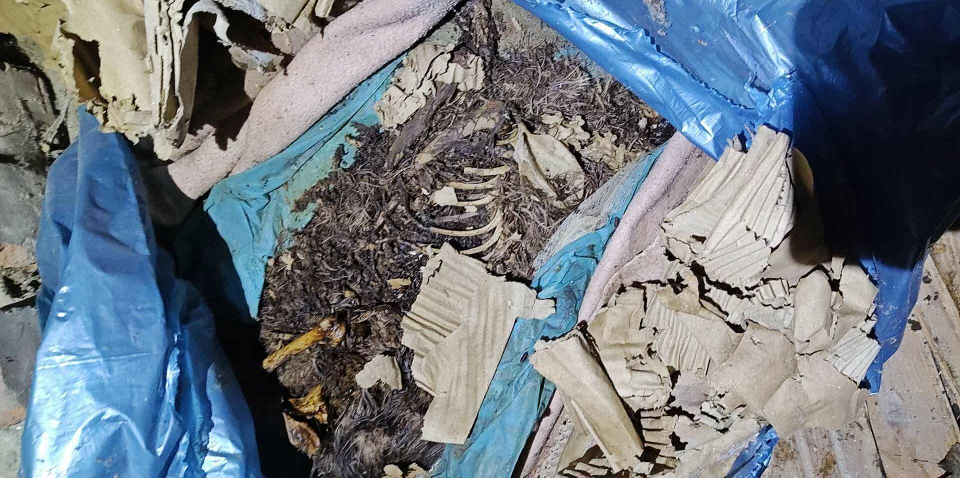 Makabryczne odkrycie przy ul. Odrzańskiej